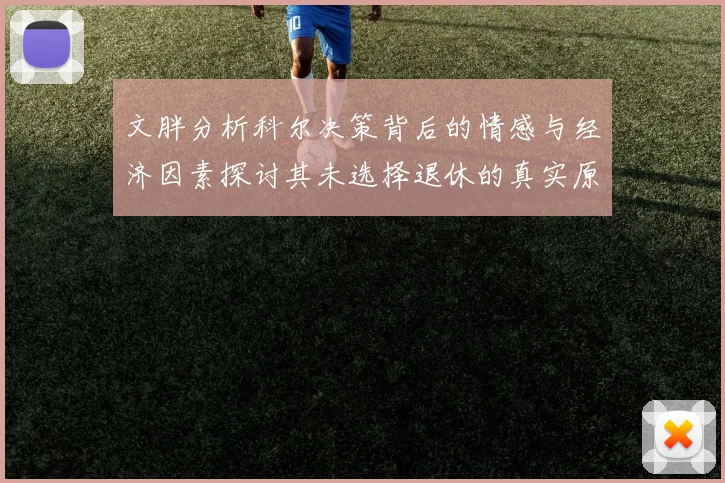 文胖分析科尔决策背后的情感与经济因素探讨其未选择退休的真实原因