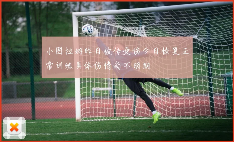 小图拉姆昨日被传受伤今日恢复正常训练具体伤情尚不明朗